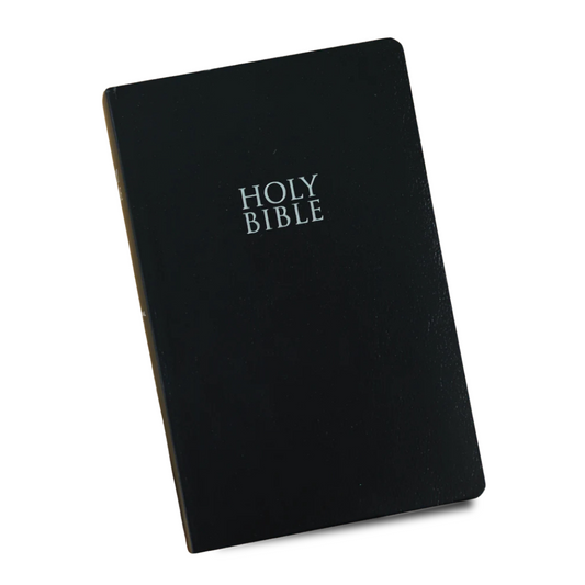 NIV Bible