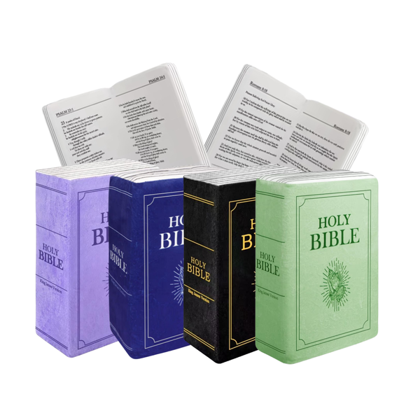 Holy Bible Pillow